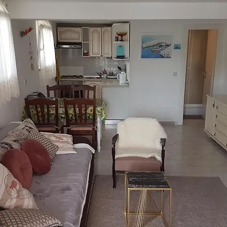 Apartment Branka Labin  Extérieur photo