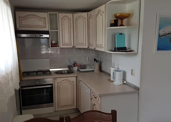 Apartment Branka