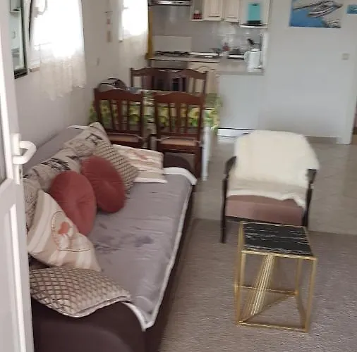 Apartment Branka